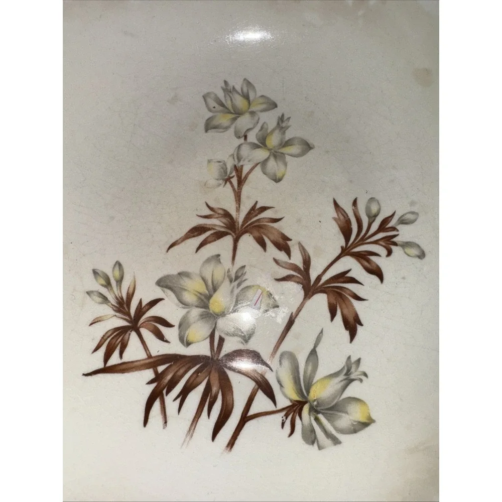 Vintage Southern Orchid Floral Transferware‎ 8 3/4
